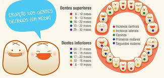Nascimento dos dentes